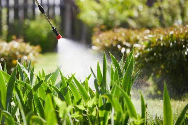24/7 Emergency Bed Bug Control experts in Capron, IL