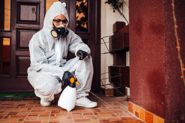 Reliable Bed Bug Control contractor in Capron, IL by Nex Pest Control